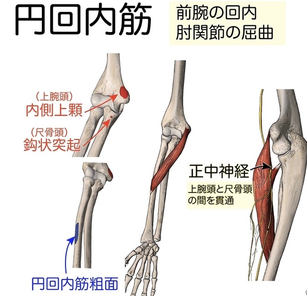 パソコン作業で起こる神経障害について | Coubic