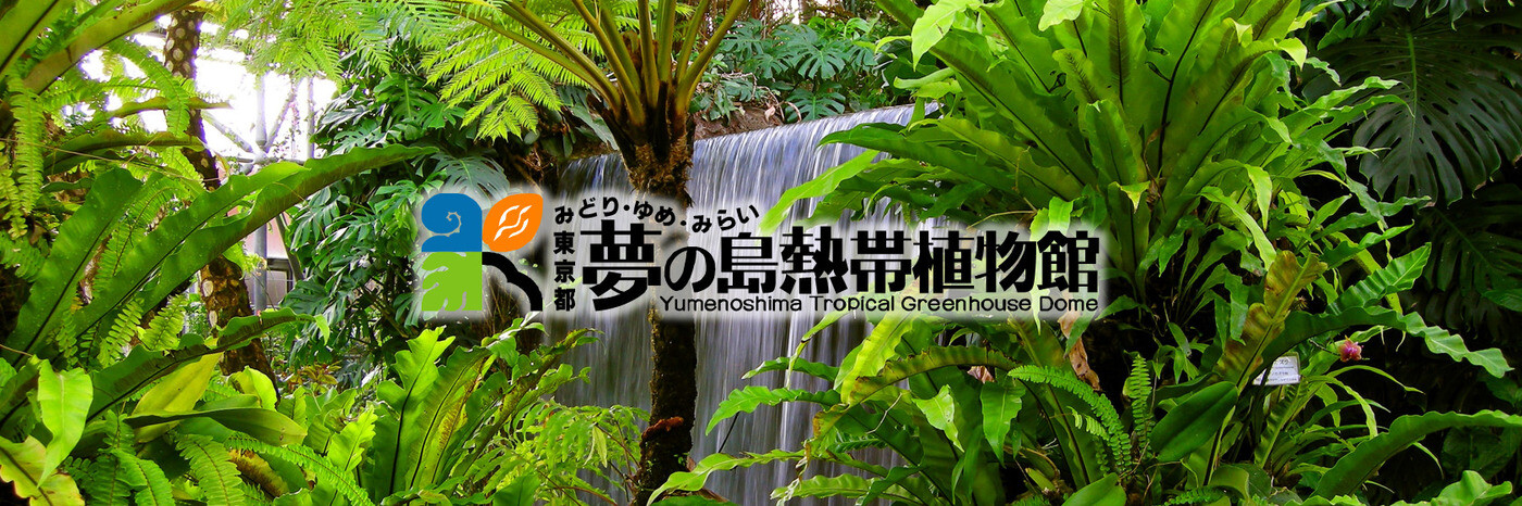 夢の島熱帯植物館 予約ページ Coubic