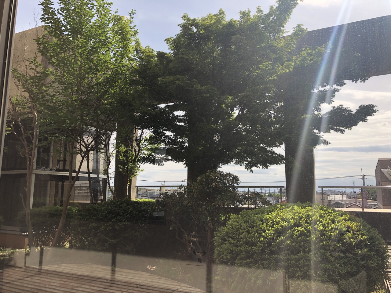 長倉見帆