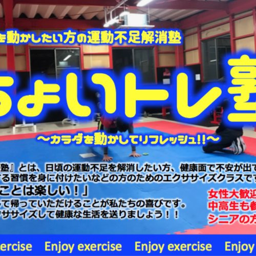 ちょいトレ塾 - 大人向け、運動不足の解消と健康の為に -