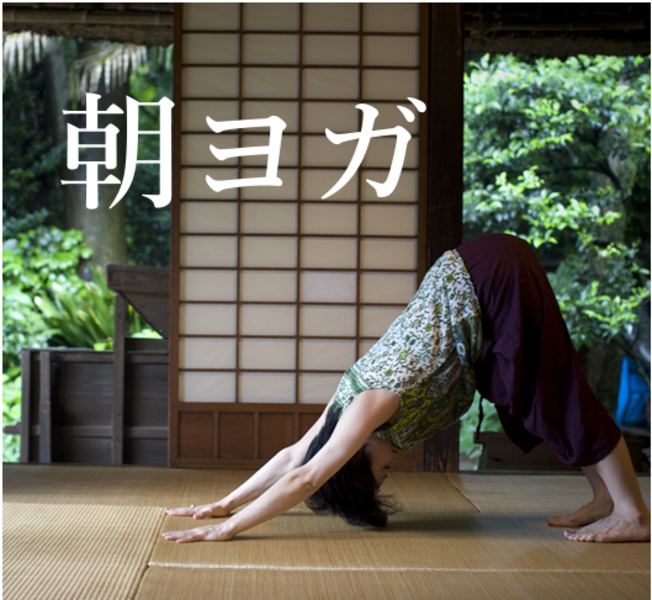 朝ヨガ 2019年