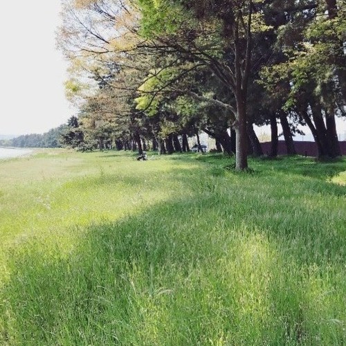 『季節のヨガ』 ~こころとからだ、自然とつながる時間~