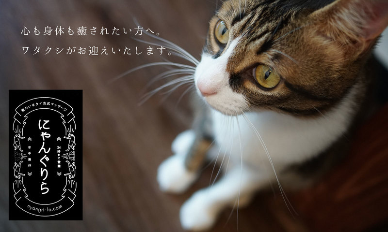 にゃんぐりらWEBご予約ページ