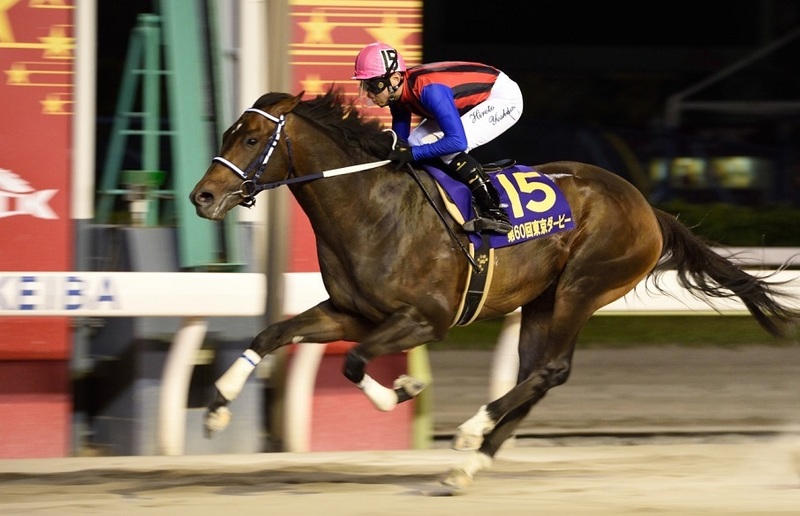 Twinkle horse race tour
