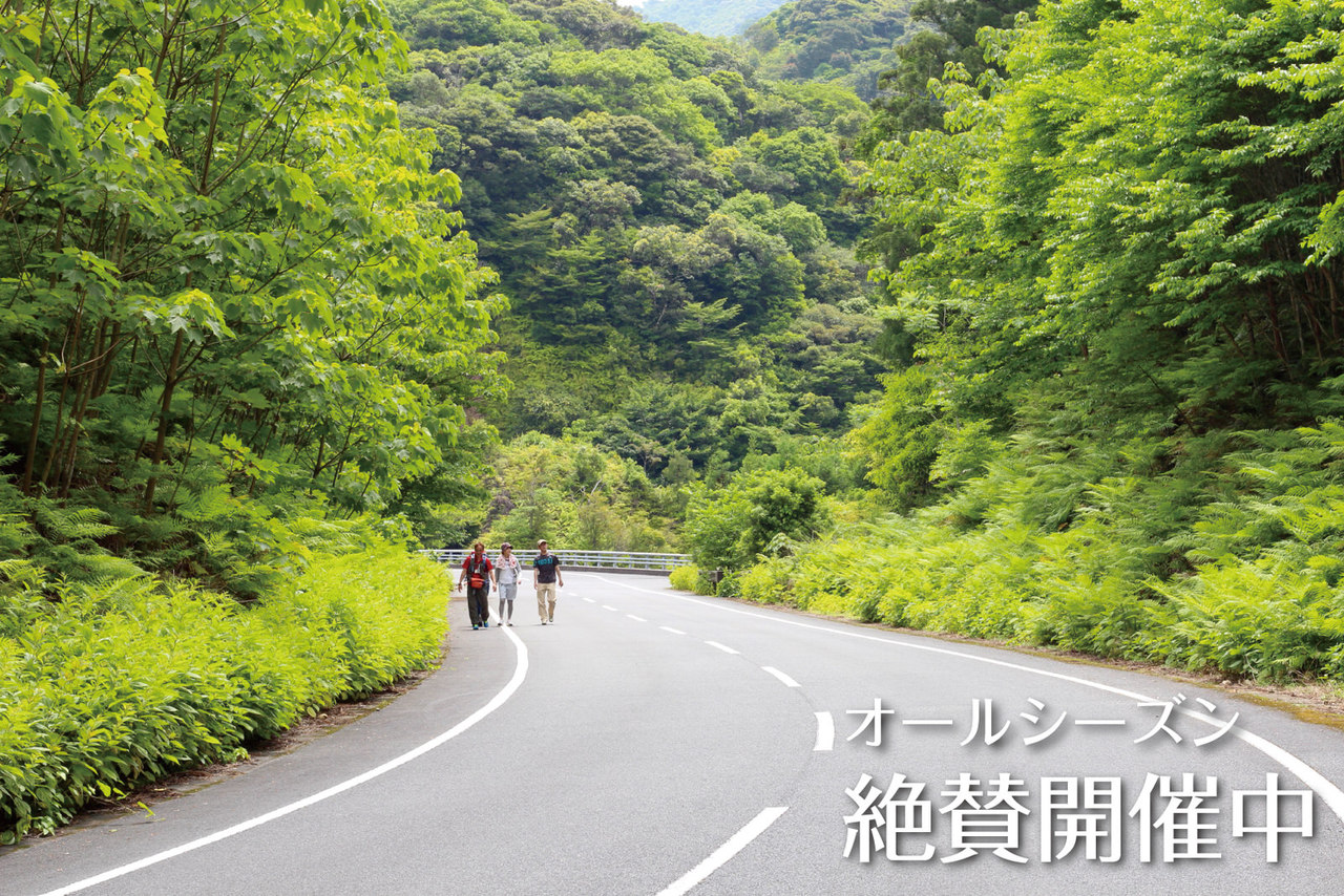 屋久島の野山を満喫しよう!『宮之浦のんびりハイキング』