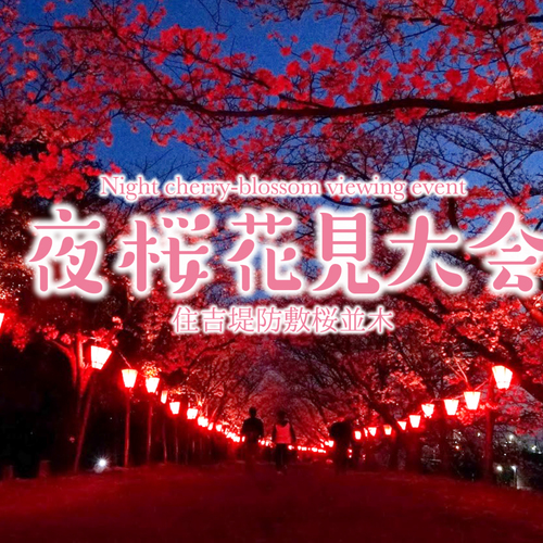 【3/31開催】hono hono 夜桜花見大会