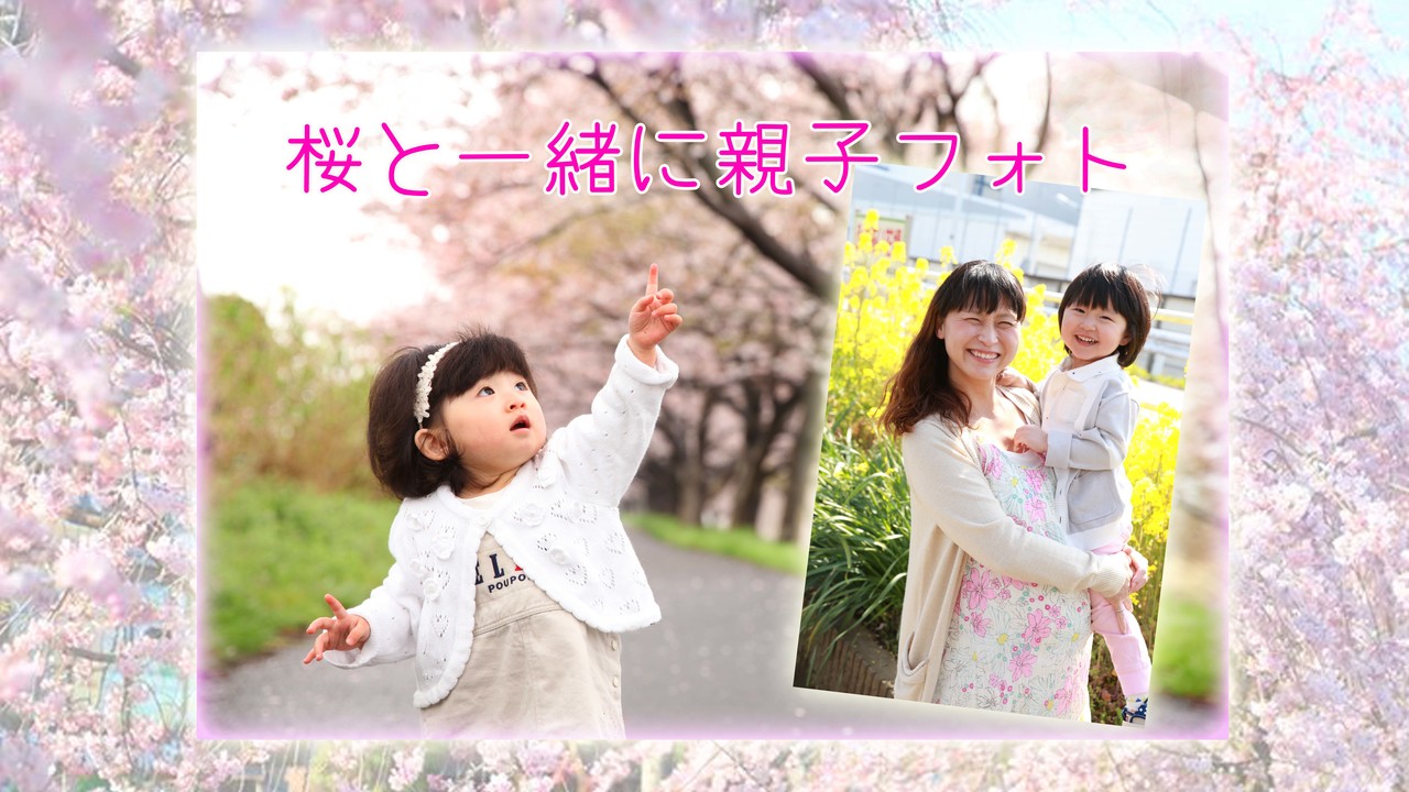 さくらと親子フォト 【本厚木 相模川沿い】