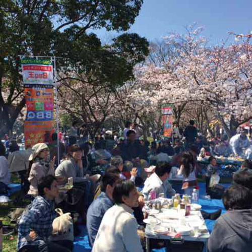 舞鶴公園で花見BBQ!!