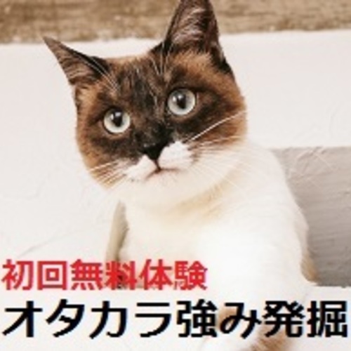 オタカラ強み発掘セッション(初回30分無料体験版)