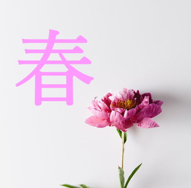 春のヨガ