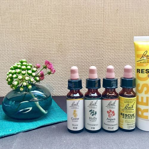 心を解きほぐすバッチフラワーレメディのお茶会