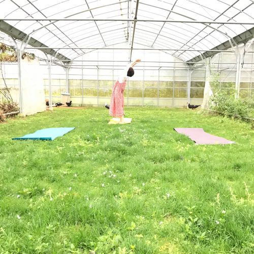 《沖縄》がんサバイバーのためのファームヨガ at 今帰仁村 4月22日(日)9:00-11:00