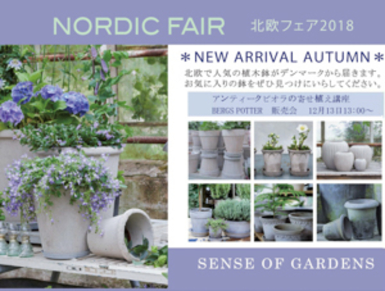 北欧デンマークの鉢を使ったアンティークビオラの寄せ植え講座
