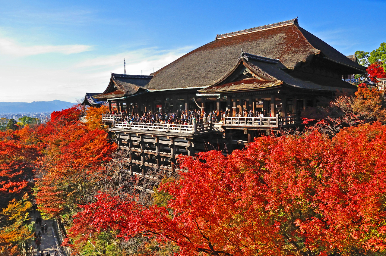 Fushimi Inari ,Tofukuji, Sanjusangendo, Kiyomizu Temple