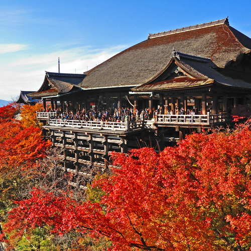 Fushimi Inari ,Tofukuji, Sanjusangendo, Kiyomizu Temple