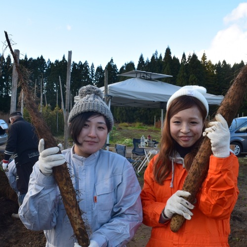 【個別クラス】イライラ・不安を手放すコツ【初回相談無料】