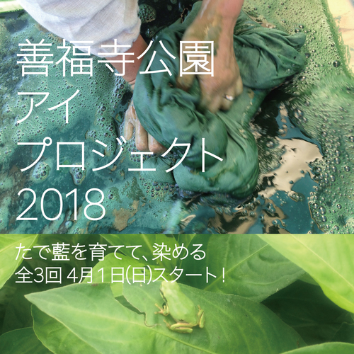 善福寺公園 アイ プロジェクト 2018 〜 たで藍を育てて、染める 全3回 【 追加開催 決定 !!! 】