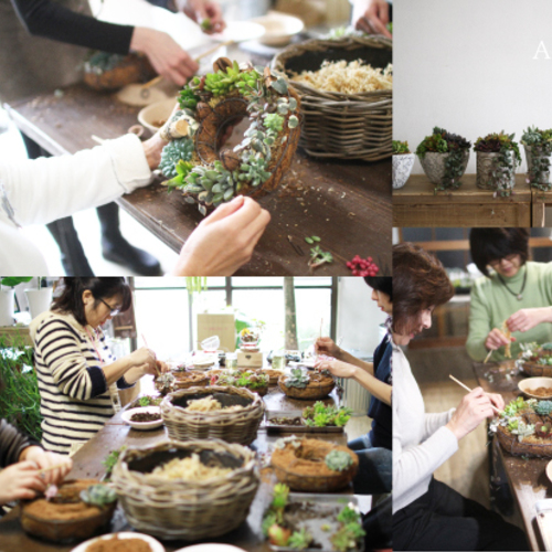 多肉植物寄せ植え教室