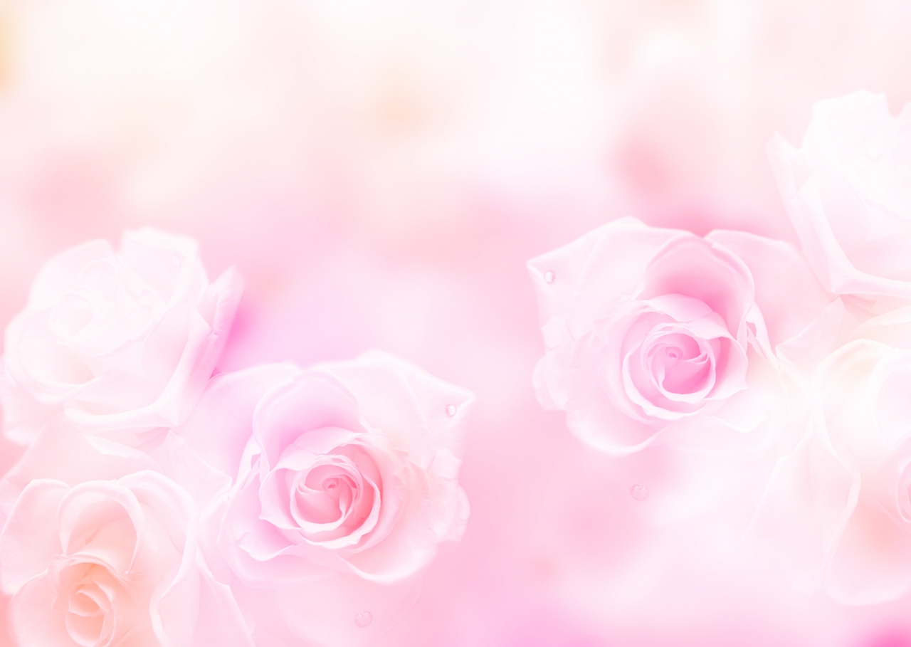 NAIL SALON Roseplume (ネイルサロン ロゼプリュム)予約ページ