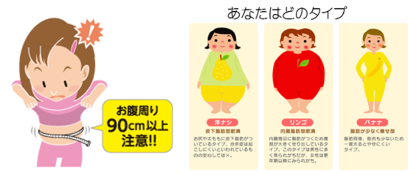 身体の内・外から考えよう正しいダイエット!健 美 整 トータルセミナー基礎知識編