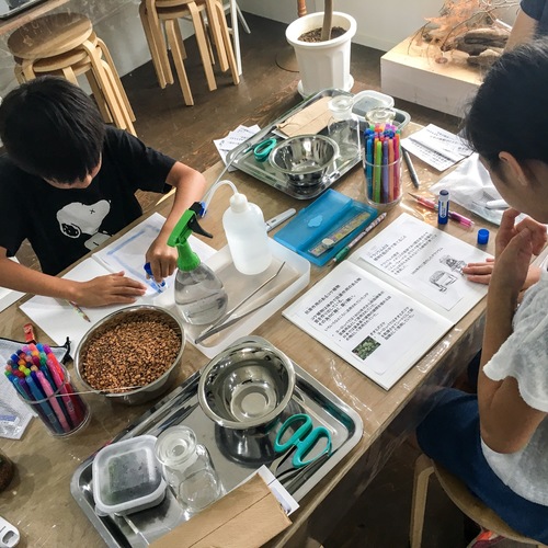 【自由研究・小学3年生以上限定】苔のテラリウム作成【清澄白河リカラボ】