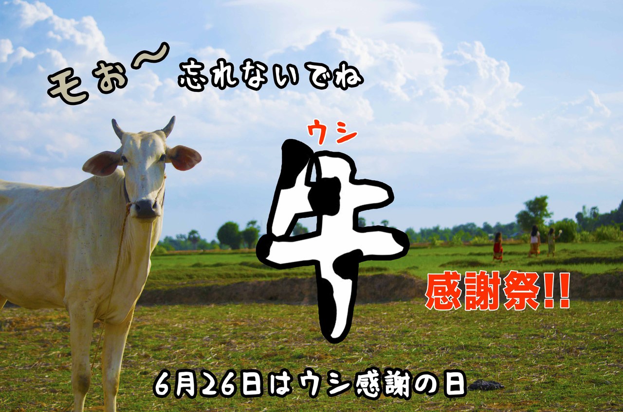 牛感謝祭!!