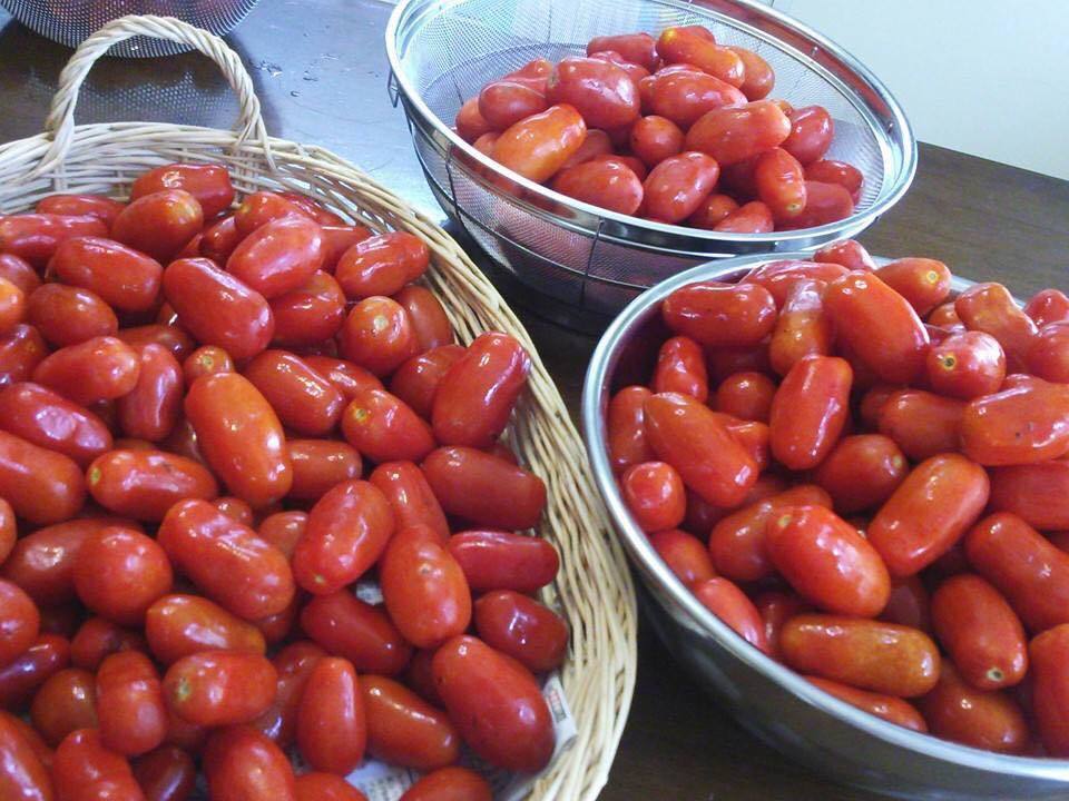 夏休み企画『ケチャップを作ろう!』