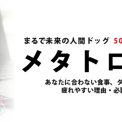 メタトロン波動測定 50分で分かる自分のカラダ 東京都神田