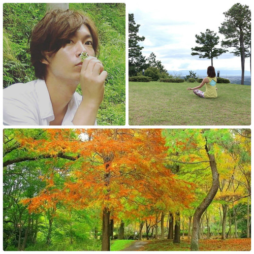 秋の紅葉ハーブ王子と金勝里山散策&チェアヨガ体験・ヨガリトリート(クリスタルボウルとのコラボ)