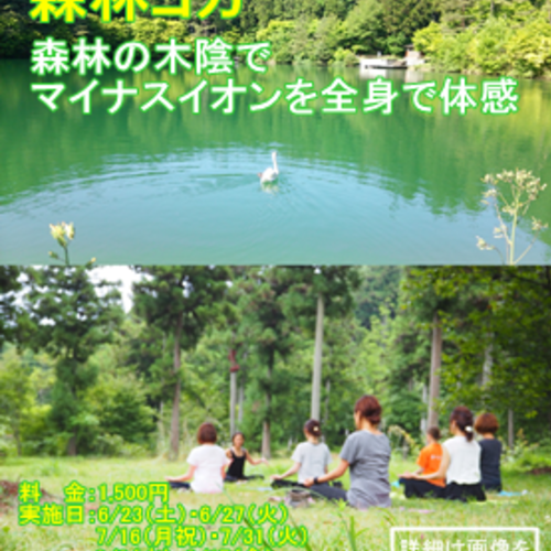 森林ヨガ