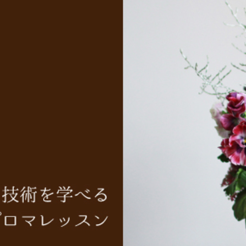 ディプロマコース