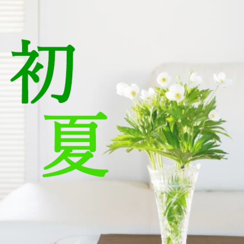 初夏のヨガ