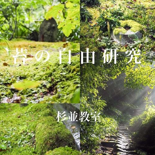 【自由研究・小学3年生以上限定】苔のテラリウム作成【杉並教室】