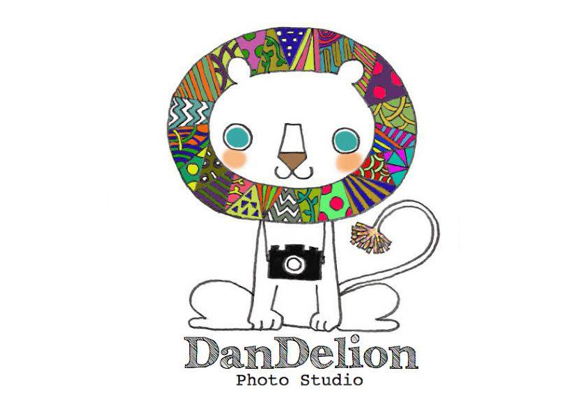 Photo Studio DanDlion