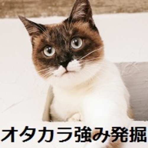 オタカラ強み発掘セッション(60分)