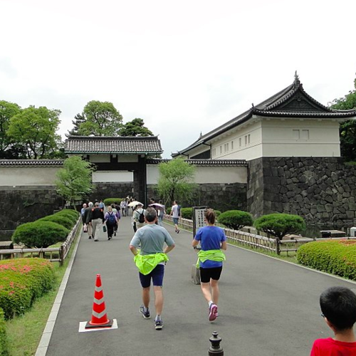 Coto Imperial Palace Run