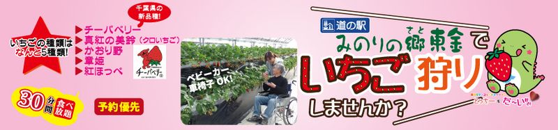 1)10時から30分間完熟いちご食べ放題!