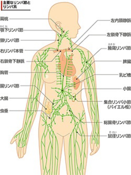 デトックスエステ