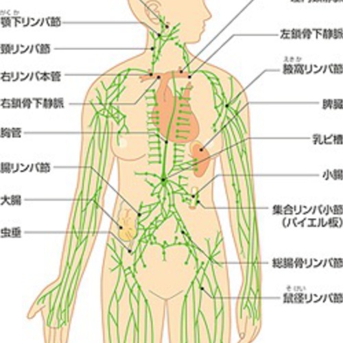 デトックスエステ
