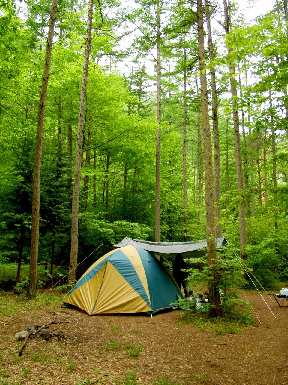 宿泊予約 テントサイト Coubic