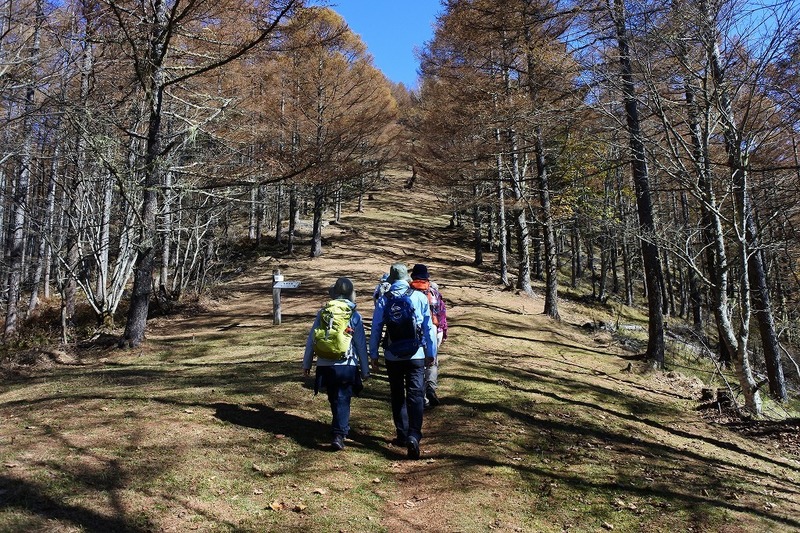 秋の櫛形山トレッキングツアー(日帰り)
