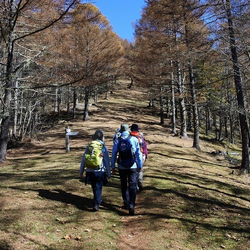 秋の櫛形山トレッキングツアー(日帰り)