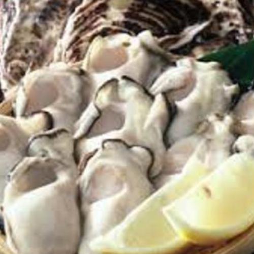 築地場外ツアー+ 豪華!牡蠣フライに牡蠣土鍋ご飯