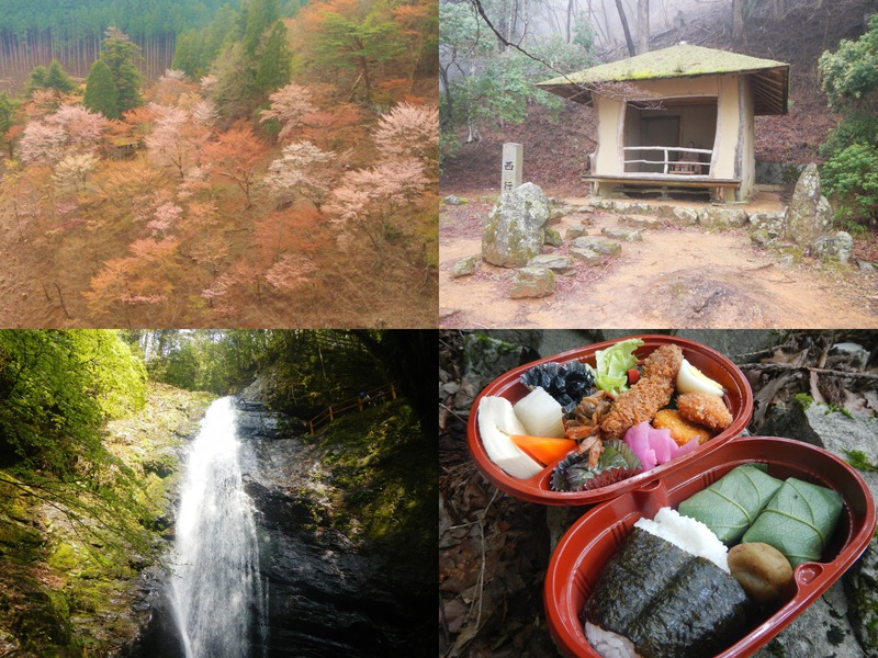 春の吉野山お花見トレッキング~遅咲きの奥千本でゆったり編~