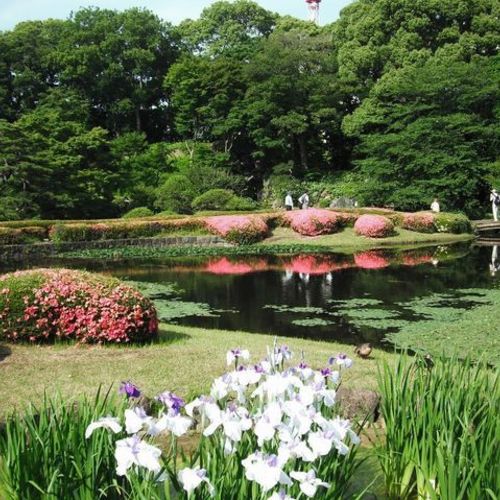Imperial Palace East Garden Tour
