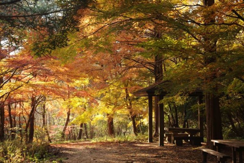 【下山部】紅葉満喫★チーズフォンデュ&ワイン