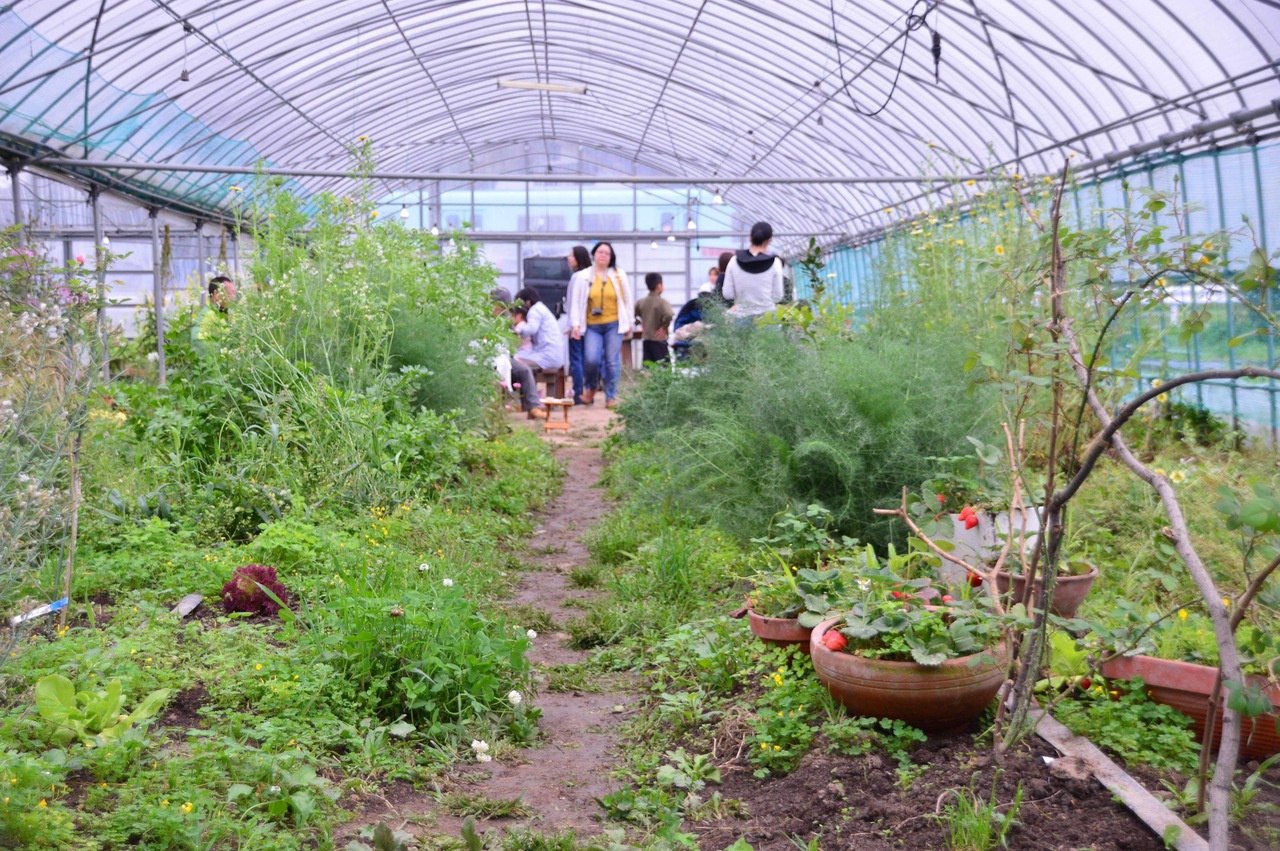 Organic Farming Experience program : 3.5h