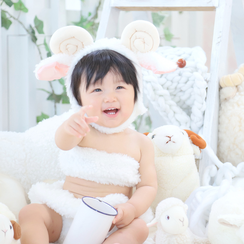 【Photo studio KAWASUJI】ふわもこひつじ撮影会