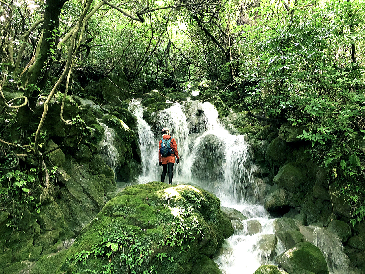涼しい森で沢登り シャワークライミング Coubic