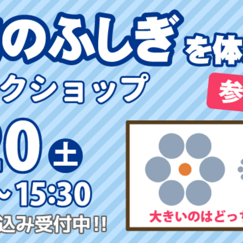 【7/20(土) 】視覚のふしぎ!ワークショップ(東京エリア)